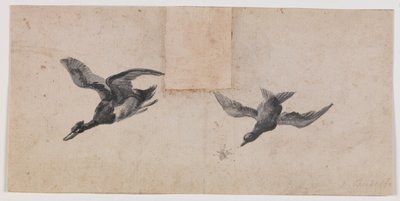 Deux oiseaux en vol - Pandolfo Reschi