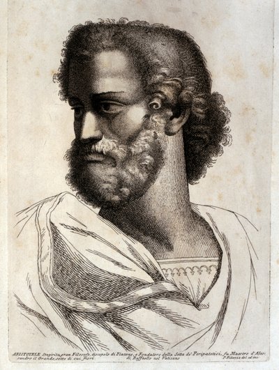 ARISTOTLE - Paolo Fidanza