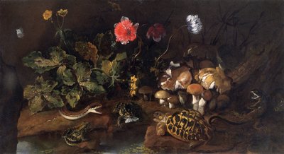 Nature morte avec un serpent, des grenouilles, une tortue et un lézard - Paolo Porpora