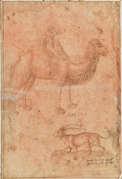 Ein Kamel mit einem reitenden Kind. Darunter ein fabelhaftes Tier (Castoro) - Paolo Uccello