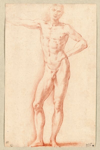 Nu masculin (craie rouge) - Parmigianino (1503-40)