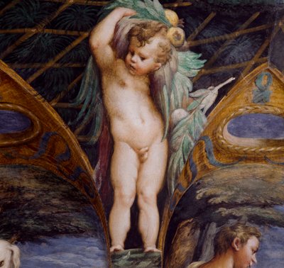 Chérubin, détail du Mythe de Diane et Actéon - Parmigianino