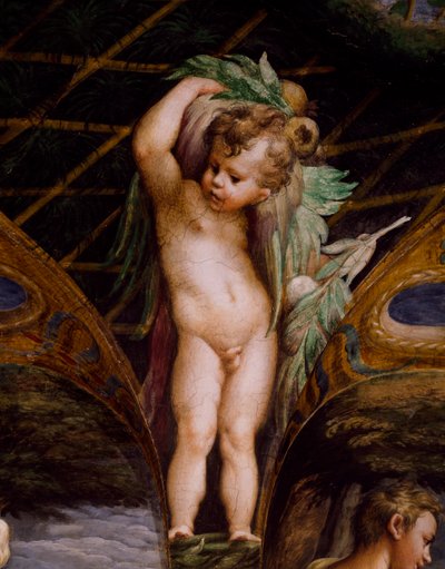 Putto, du Mythe de Diane et Actéon - Parmigianino