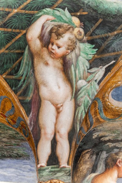 Putto, de la Salle de Diane et Actéon (détail) - Parmigianino