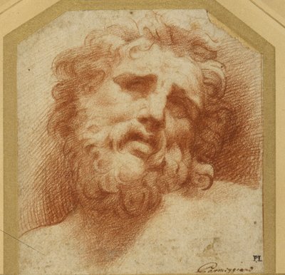 Tête barbue, regardant vers le haut (peut-être Laocoon) - Parmigianino
