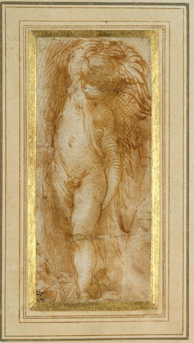 Un putto tourné vers la gauche - Parmigianino