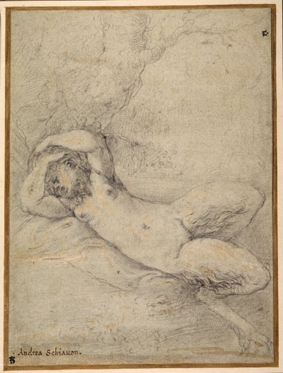 Une satyresse endormie sous un arbre - Parmigianino