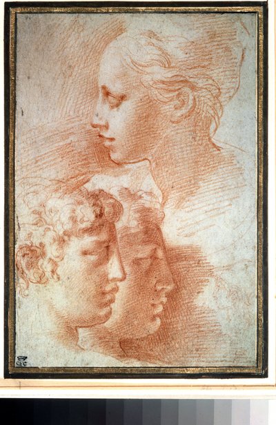 Étude de têtes - Parmigianino