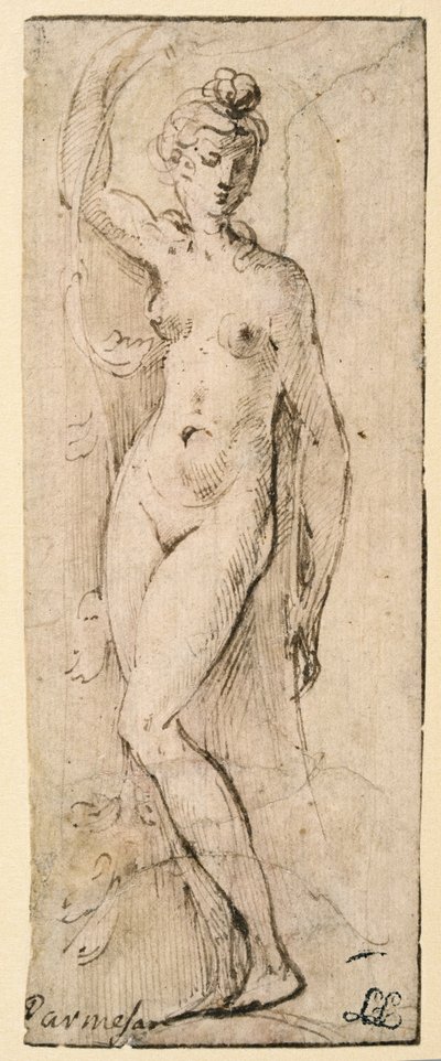 Figure féminine - étude pour Santa Maria della Steccata, Parme (recto) - Parmigianino