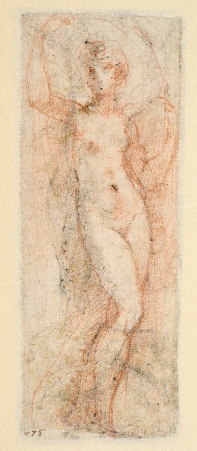 Figure féminine - étude pour la Steccata - Parmigianino