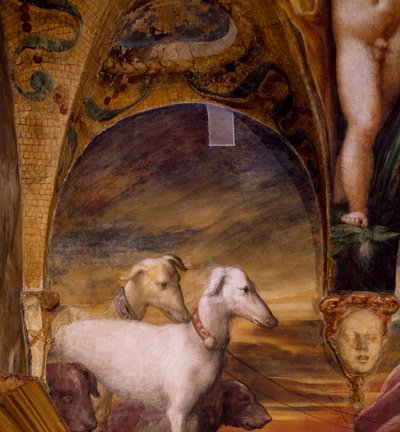 Groupe de chiens, du Mythe de Diane et Actéon - Parmigianino