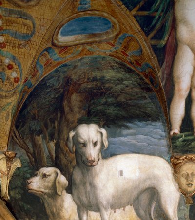 Paire de chiens, détail du Mythe de Diane et Actéon, par Francesco Mazzola dit Parmigianino (1503-1540), fresque, côté nord de la Salle de Diane et Actéon, Rocca Sanvitale, Fontanellato, près de Parme, Italie, vers 1524 - Parmigianino