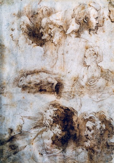 Étude pour une souris morte, profils masculin et féminin - Parmigianino