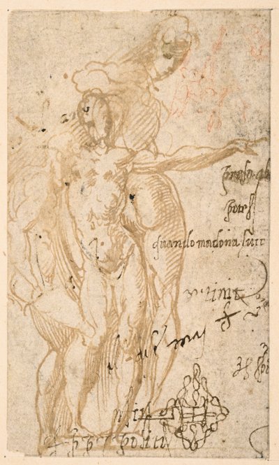 Étude de trois figures nues - Parmigianino