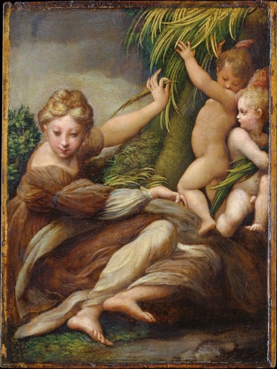  - Parmigianino