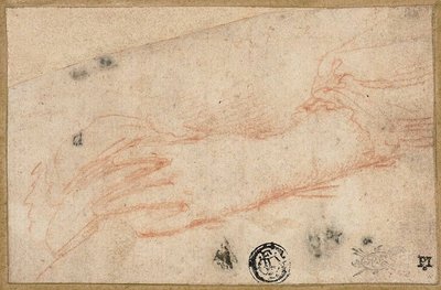 Croquis de la main et du poignet gauches - Parmigianino