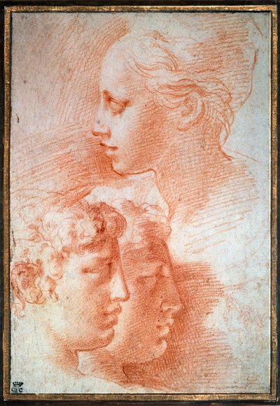 Étude des têtes, vers 1527 - Parmigianino