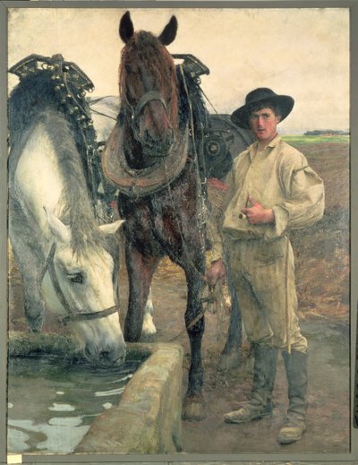 Chevaux à l