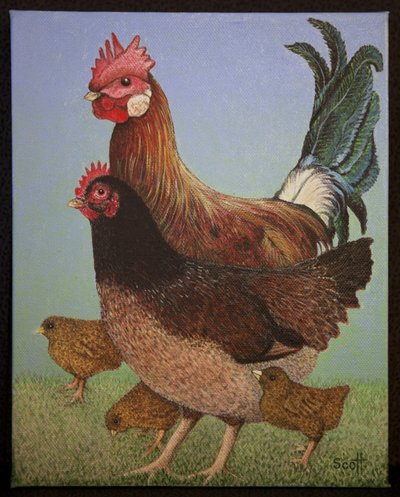 Famille de poulet, 2016 - Pat Scott