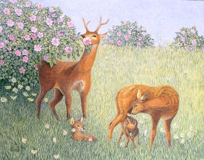 Famille de cerfs (huile sur toile) - Pat Scott
