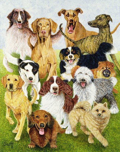 Dog Days (huile sur toile) - Pat Scott
