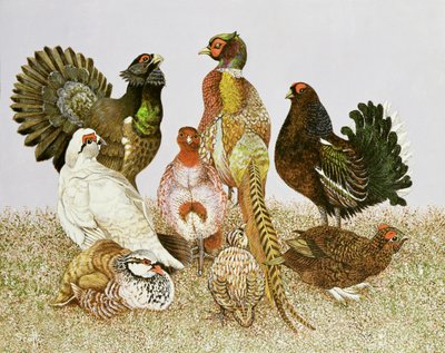 Gibier à plumes - Pat Scott