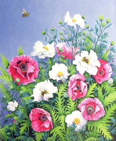 Honey Bee, Honey Bee (huile sur toile) - Pat Scott