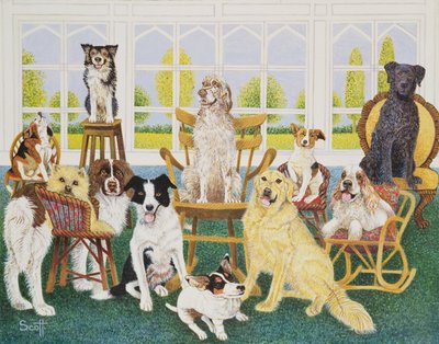 Dans la niche du chien - Pat Scott