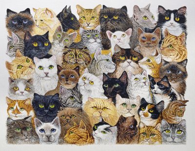 Juste le museau du chat (acrylique sur calicot) - Pat Scott