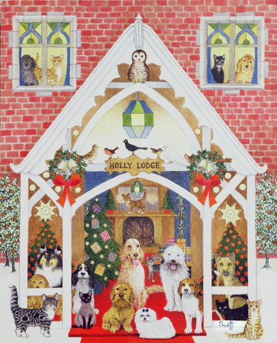 Amour de Holly Lodge - Pat Scott