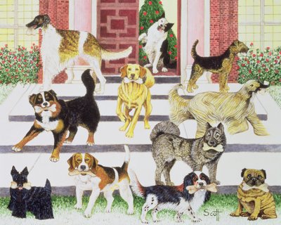 Les cadeaux de la fête - Pat Scott