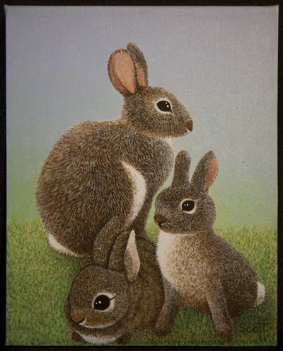 Famille Lapin, 2016 - Pat Scott