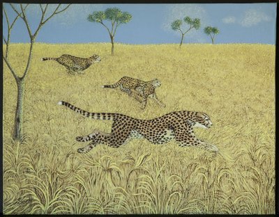 La vitesse pure - Pat Scott