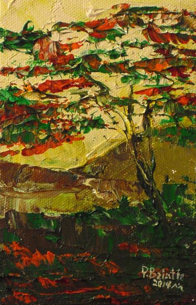 Flamboyant en fleur, 2014 - Patricia Brintle