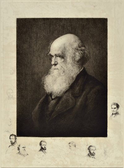 Charles Robert Darwin - Paul Adolphe Rajon