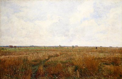 Un large paysage d