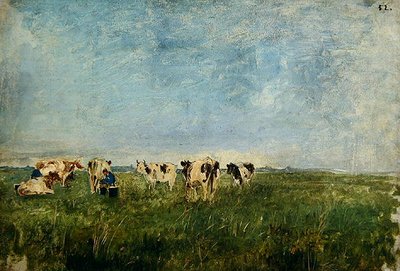 Vaches dans un pré en train d