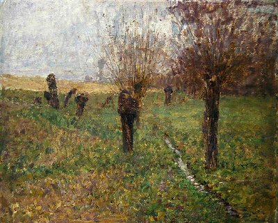 Paysage d