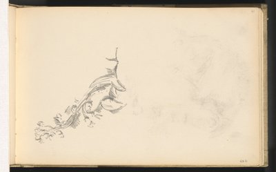 Branche en fleur - Paul Cézanne