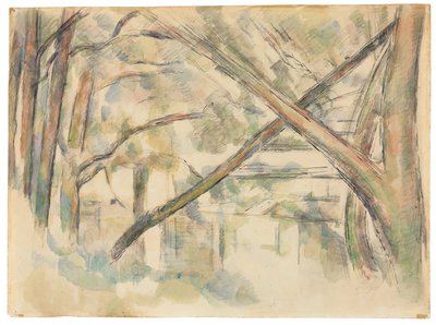 Arbres se croisant au bord de l