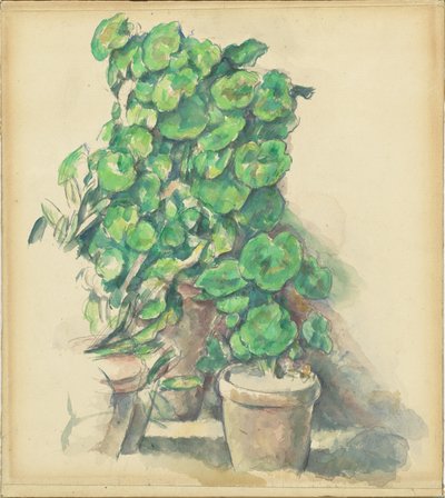 Géraniums - Paul Cézanne