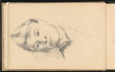Madame Cézanne - Paul Cézanne
