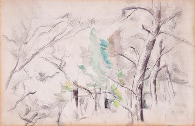 Arbres [recto]; Encagnane et le Pilon du Roi [verso] - Paul Cézanne