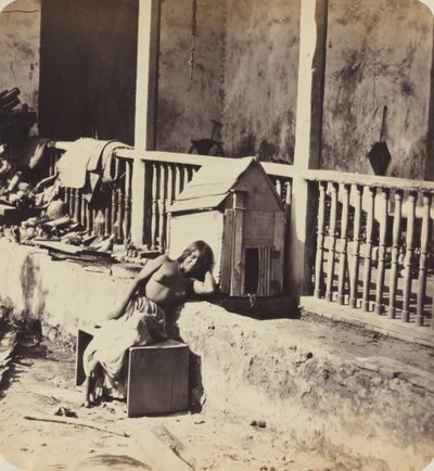 Chien de Garvel (Martinique) - Paul Emile Miot