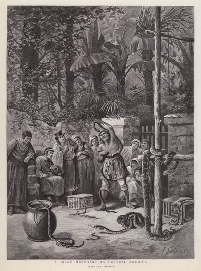 Marchand de serpents en Amérique centrale - Paul Frenzeny