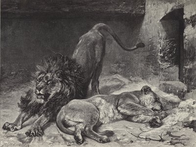 Le Réveil du lion - Paul Friedrich Meyerheim