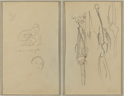 Singe accroupi et tête d