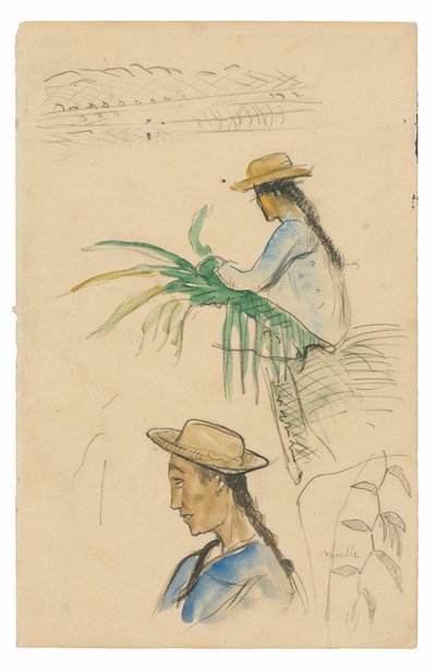 Croquis de figures, feuille de pandanus et plante de vanille - Paul Gauguin