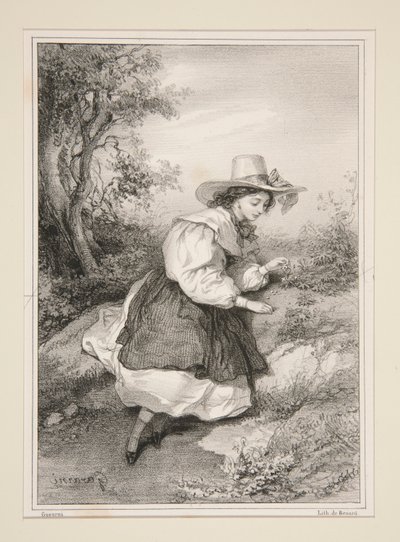 Les Deux Pâquerettes. - Paul Gavarni