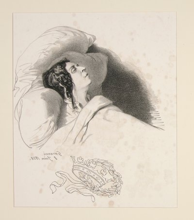 Mme. La Duchesse D - Paul Gavarni